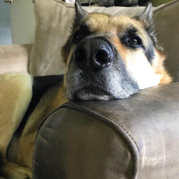 Bundle and save. It all has to go!!! - Picture 3 of 3